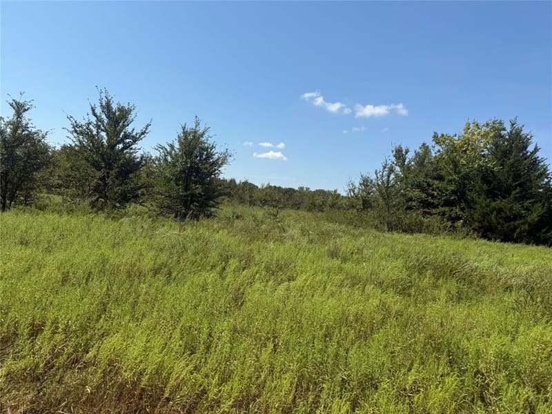808 W Line Road, Whitesboro TX 76273 - Photo 33
