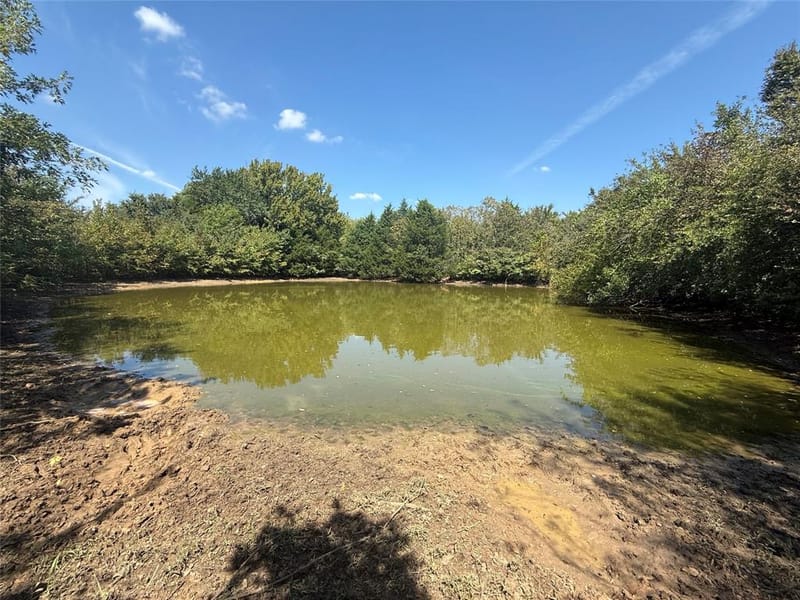 808 W Line Road, Whitesboro TX 76273 - Photo 35