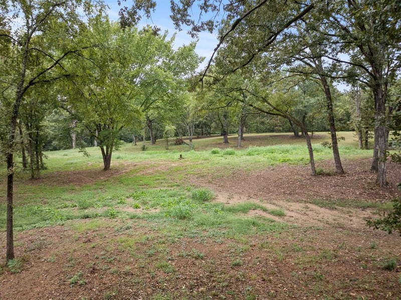 490 FM 1735, Mount Pleasant TX 75455 - Photo 30