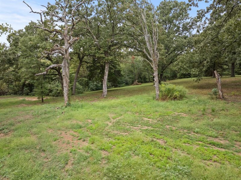 490 FM 1735, Mount Pleasant TX 75455 - Photo 31