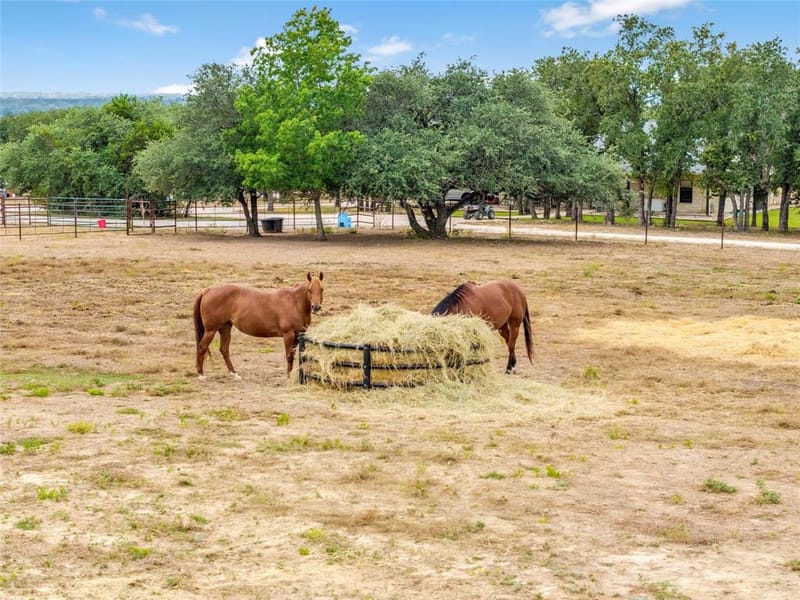 6000 County Road 351, Dublin TX 76446 - Photo 11