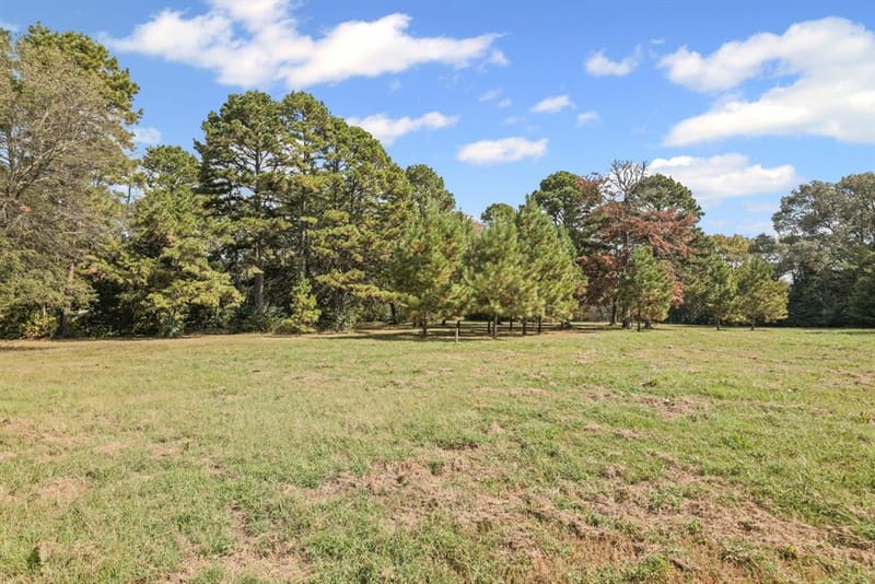 853 County Road 2730, Pittsburg TX 75686 - Photo 23