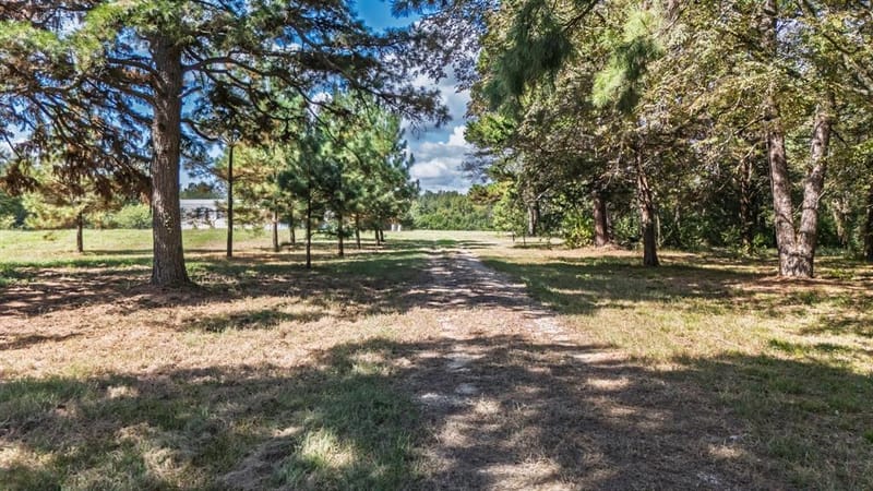 853 County Road 2730, Pittsburg TX 75686 - Photo 27