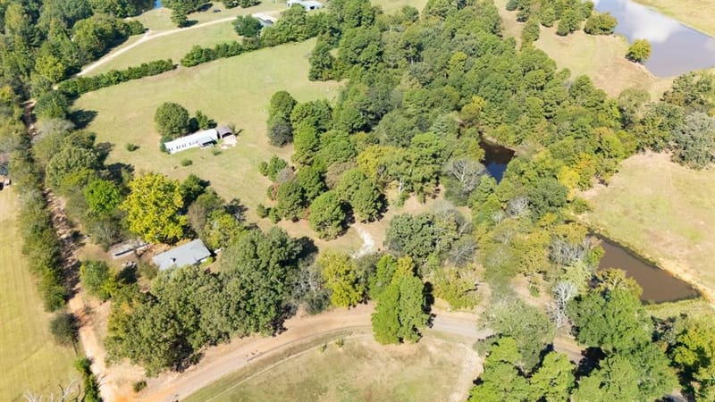 853 County Road 2730, Pittsburg TX 75686 - Photo 32