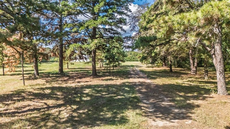 853 County Road 2730, Pittsburg TX 75686 - Photo 37