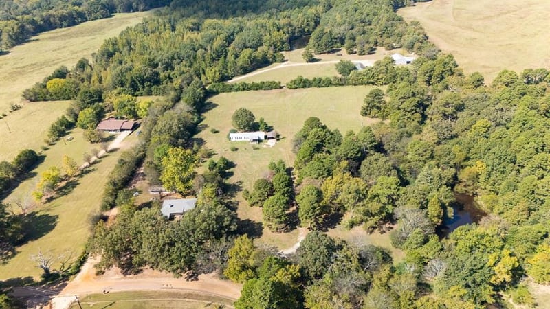 853 County Road 2730, Pittsburg TX 75686 - Photo 40