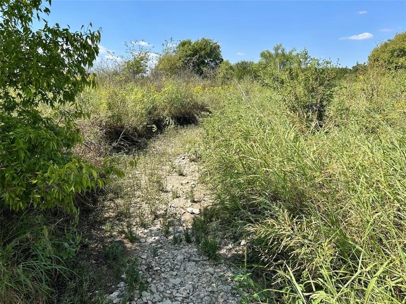231 Hcr 1206, Blum TX 76627 - Photo 33