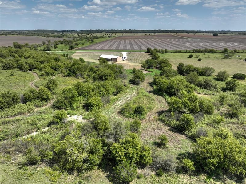 231 Hcr 1206, Blum TX 76627 - Photo 31