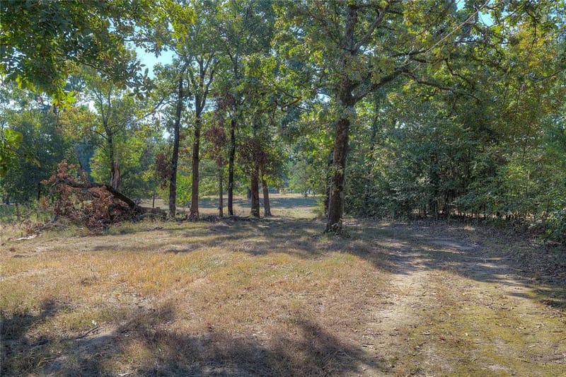 331 County Road 1887, Yantis TX 75497 - Photo 38