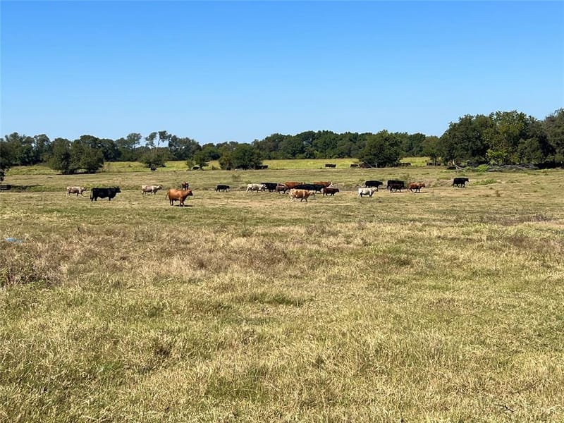 329 Lowell Road, Milford TX 76670 - Photo 36