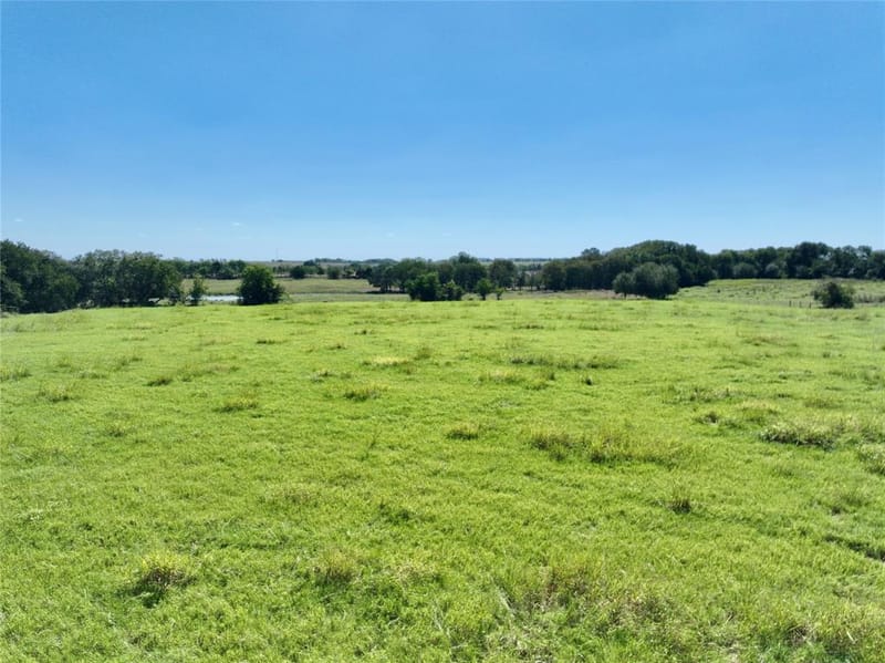 329 Lowell Road, Milford TX 76670 - Photo 39