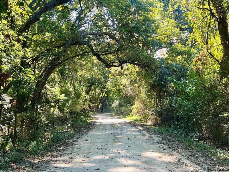 329 Lowell Road, Milford TX 76670 - Photo 25