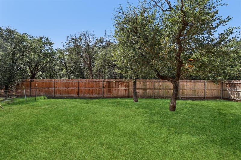 1203 Pala Dura Court, Granbury TX 76048 - Photo 6