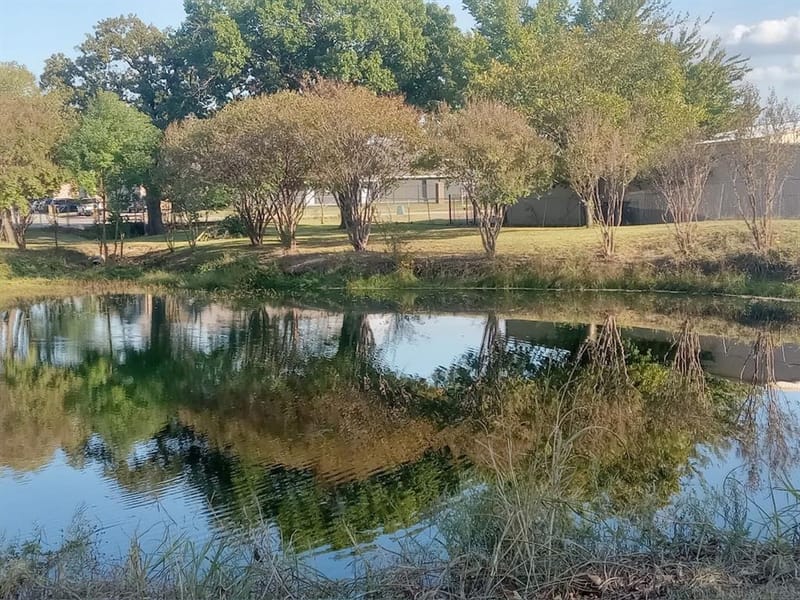 4609 Pioneer Road, Balch Springs TX 75180 - Photo 30