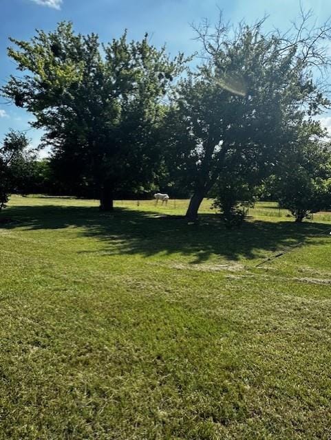 6294 Dugan Chapel Road, Bells TX 75414 - Photo 2