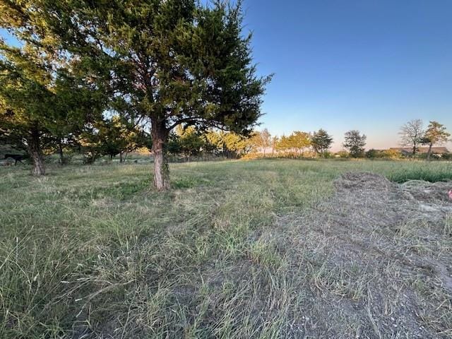2493 LIVE OAK, Princeton TX 75407 - Photo 14