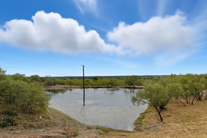 735 Gresham Lane, Jacksboro TX 76458 - Photo 30
