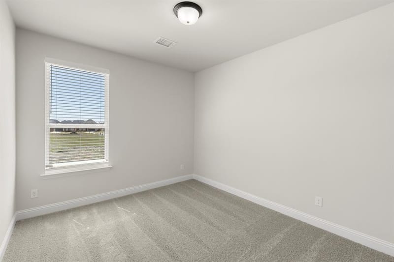3916 Keya Drive, Celina TX 75078 - Photo 17