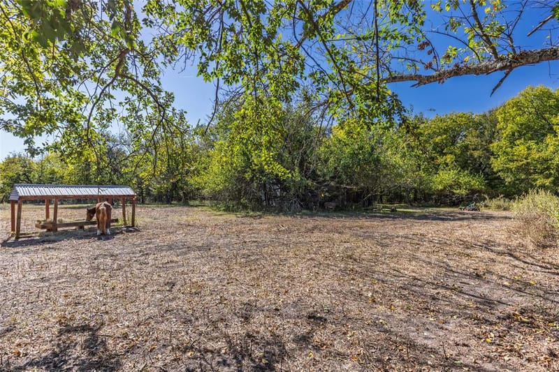 962 Hwy 50, Ladonia TX 75449 - Photo 26