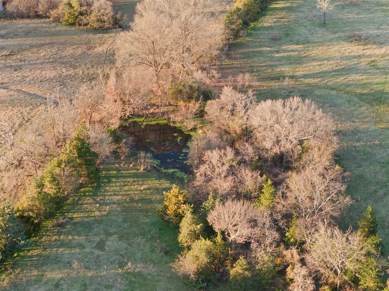 TBD County Road 1468, Mount Pleasant TX 75455 - Photo 23