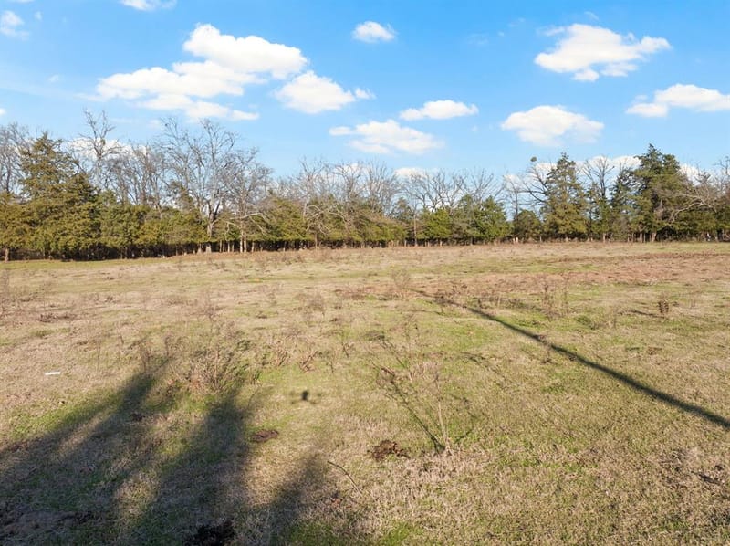 TBD County Road 1468, Mount Pleasant TX 75455 - Photo 6
