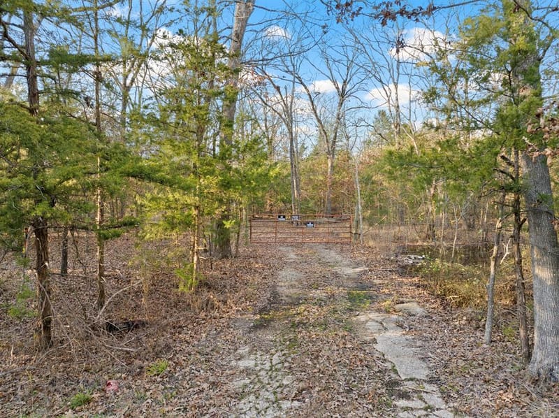 TBD County Road 1468, Mount Pleasant TX 75455 - Photo 16