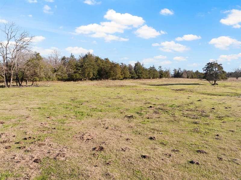 TBD County Road 1468, Mount Pleasant TX 75455 - Photo 7