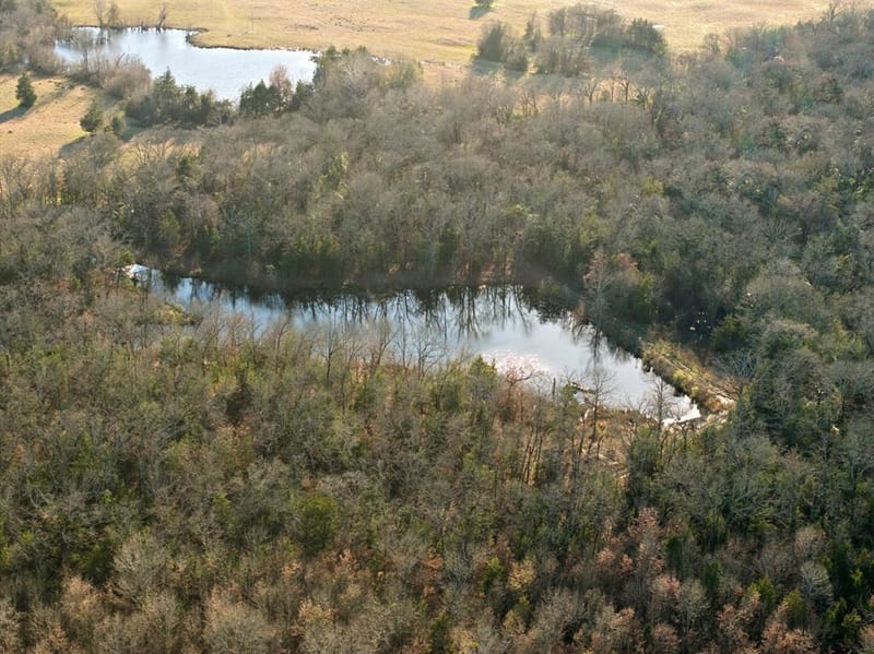 TBD County Road 1468, Mount Pleasant TX 75455 - Photo 18