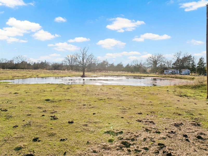 TBD County Road 1468, Mount Pleasant TX 75455 - Photo 8