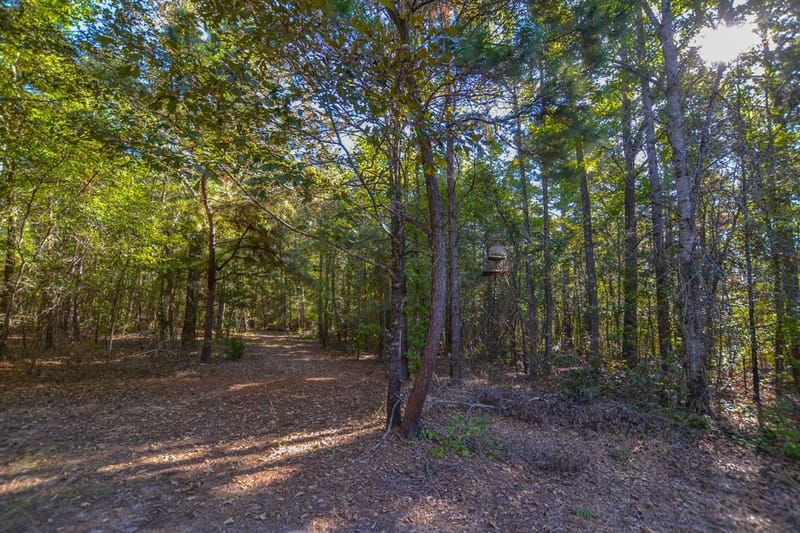 0 COUNTY ROAD 3409, Chandler TX 75758 - Photo 6