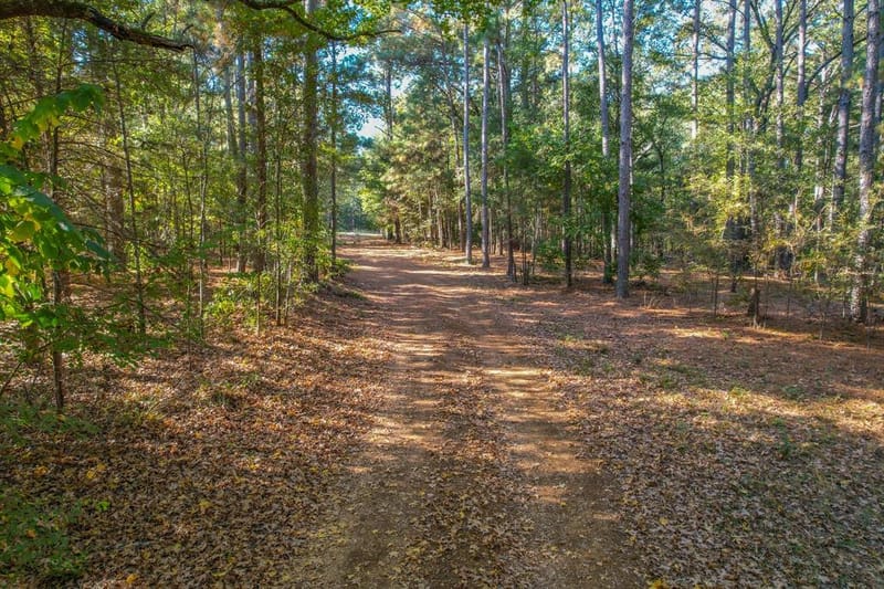 0 COUNTY ROAD 3409, Chandler TX 75758 - Photo 26