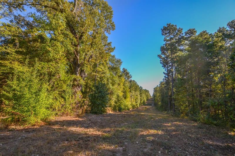 0 COUNTY ROAD 3409, Chandler TX 75758 - Photo 32