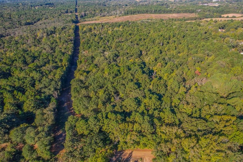 0 COUNTY ROAD 3409, Chandler TX 75758 - Photo 34