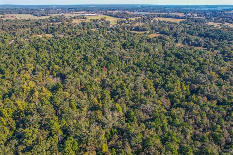 0 COUNTY ROAD 3409, Chandler TX 75758 - Photo 38