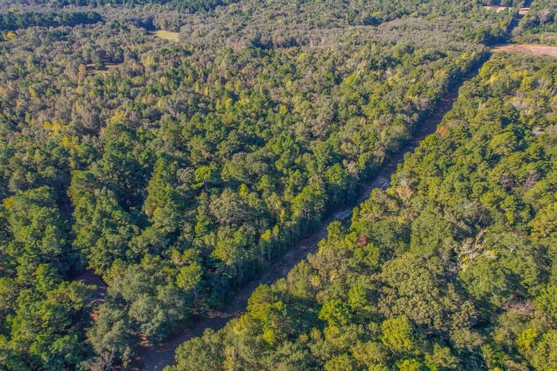 0 COUNTY ROAD 3409, Chandler TX 75758 - Photo 37