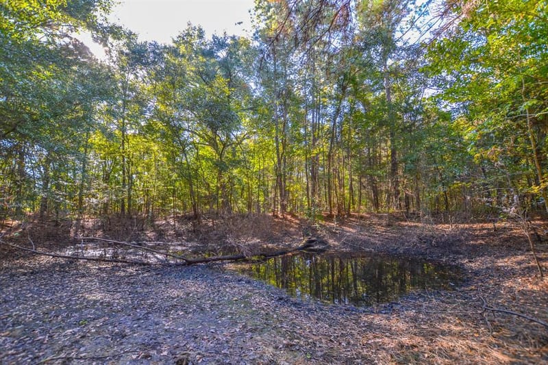 0 COUNTY ROAD 3409, Chandler TX 75758 - Photo 29