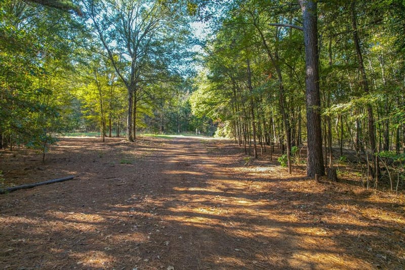 0 COUNTY ROAD 3409, Chandler TX 75758 - Photo 25