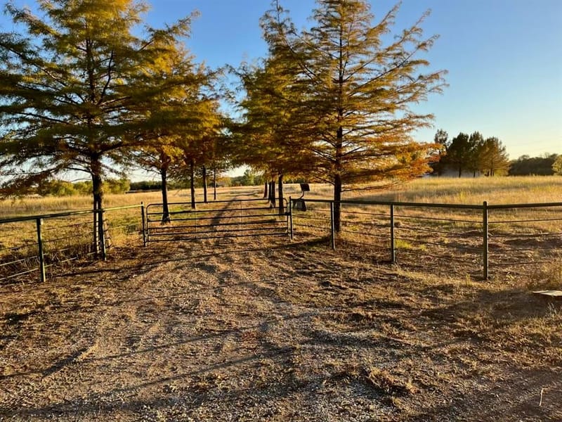 300 County Road 27100, Honey Grove TX 75446 - Photo 30