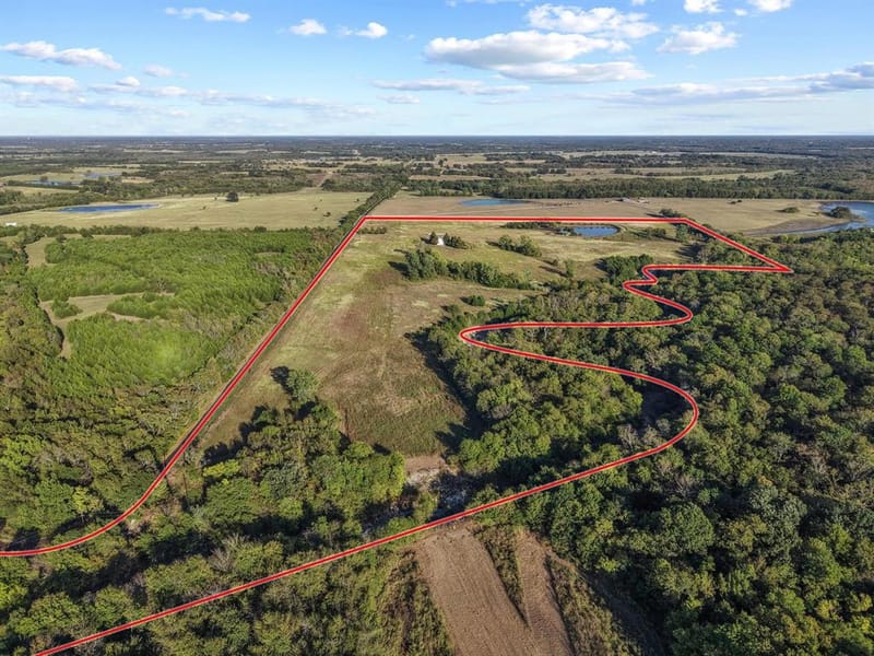 300 County Road 27100, Honey Grove TX 75446 - Photo 34