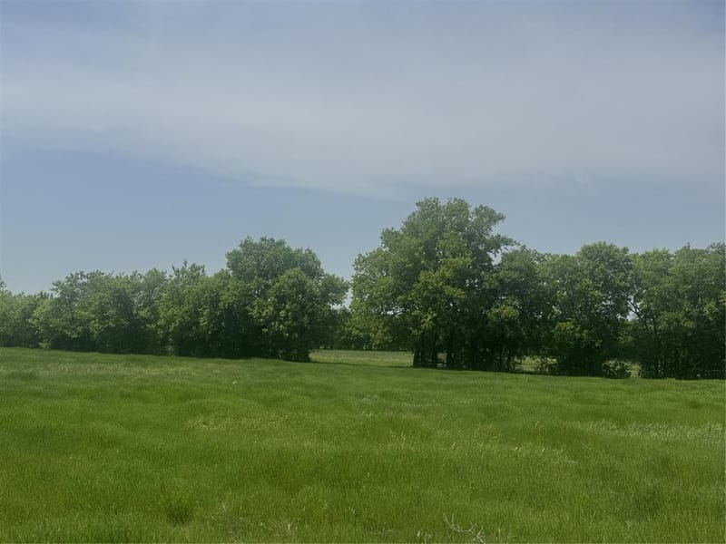 418 Private Road 4512, Decatur TX 76234 - Photo 6