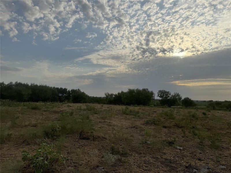 381 Private Road 4512, Decatur TX 76234 - Photo 4