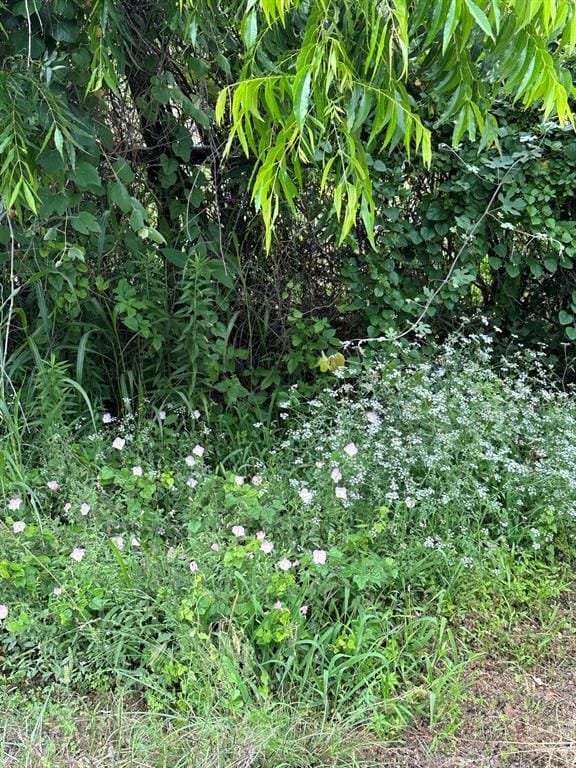 831 Old Justin Road, Argyle TX 76226 - Photo 12