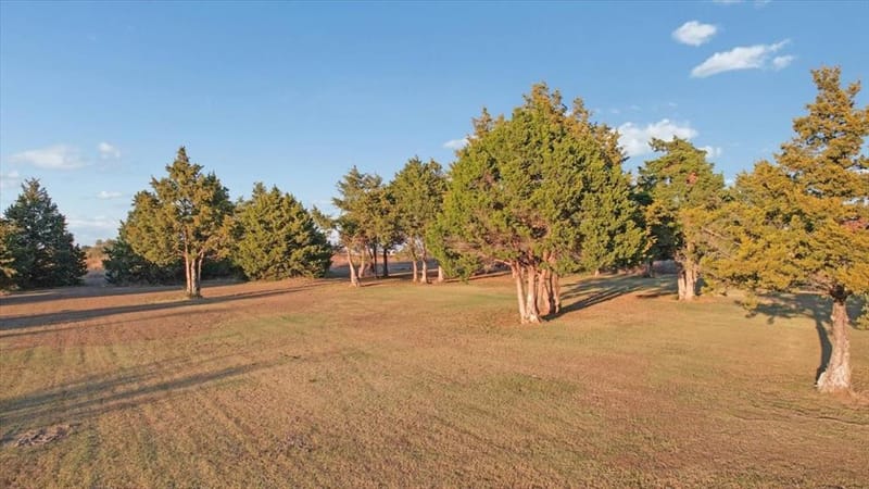 1375 County Road 176, Whitesboro TX 76273 - Photo 33