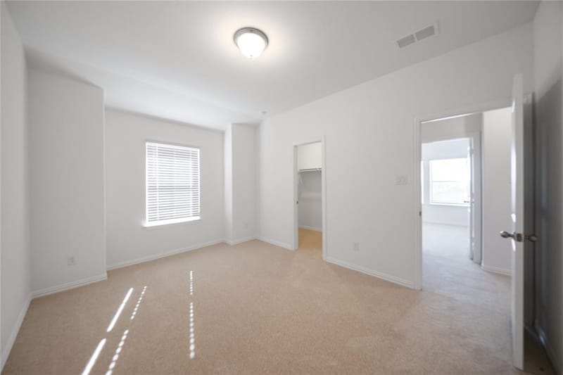 3921 Jasper Lane, Celina TX 75009 - Photo 20