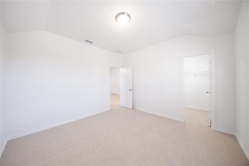 3921 Jasper Lane, Celina TX 75009 - Photo 18