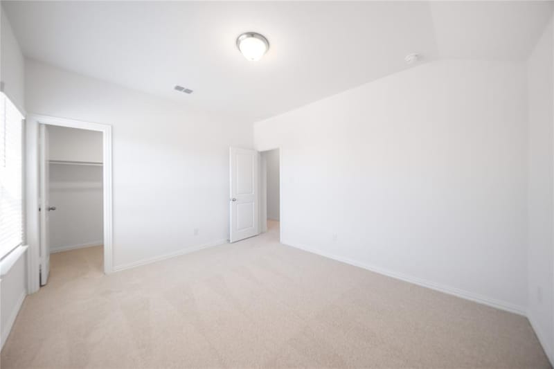 3921 Jasper Lane, Celina TX 75009 - Photo 19