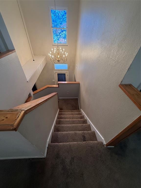 10216 Big Thicket Drive, Dallas TX 75217 - Photo 20