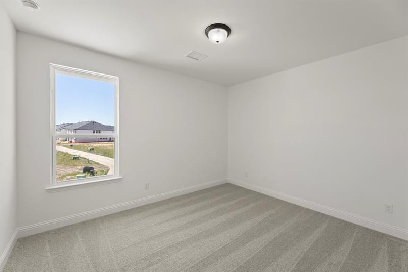 4429 Flowerpot Drive, Celina TX 75078 - Photo 16