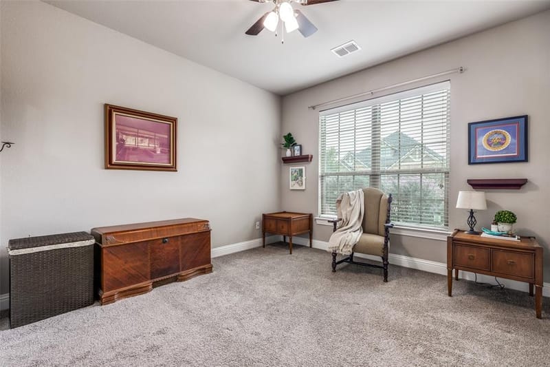 2920 Clearwater Drive, Prosper TX 75078 - Photo 23