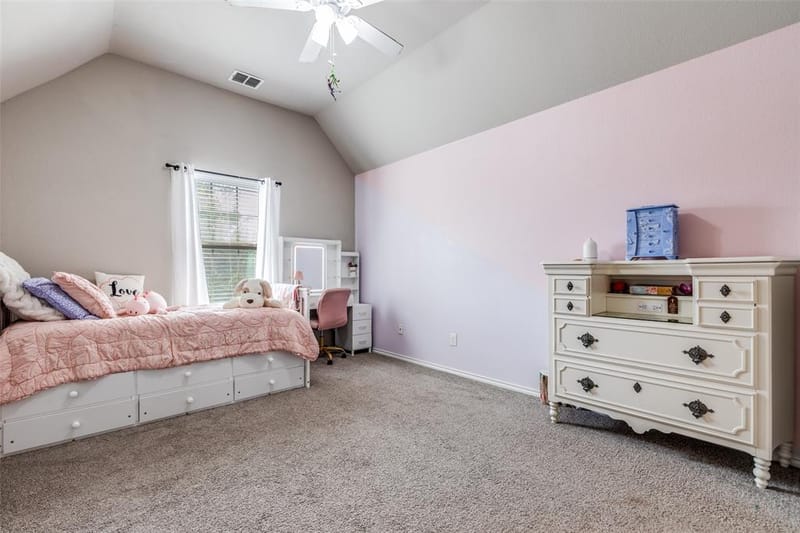 2920 Clearwater Drive, Prosper TX 75078 - Photo 28